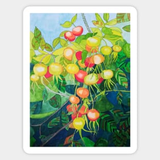 Rosehips watercolour painting Sticker